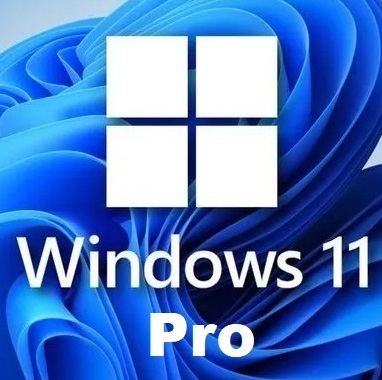 Windows 11 Professional 32/64 Bit Key - Email Delivery